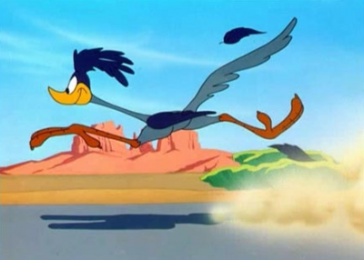 roadrunner from the looney toons cartoon